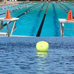 Profile Picture of Jennifer Dutton (@theocdswimcoach) on Instagram