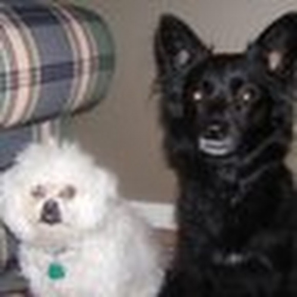 Profile Picture of Carley Pugh (@carleypugh) on Poshmark