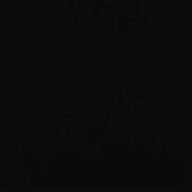 Profile Picture of Ilya Ludevig (@ilyacinema) on Youtube