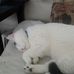 Profile Picture of Christopher Hager (@christopher.hager.338) on Facebook