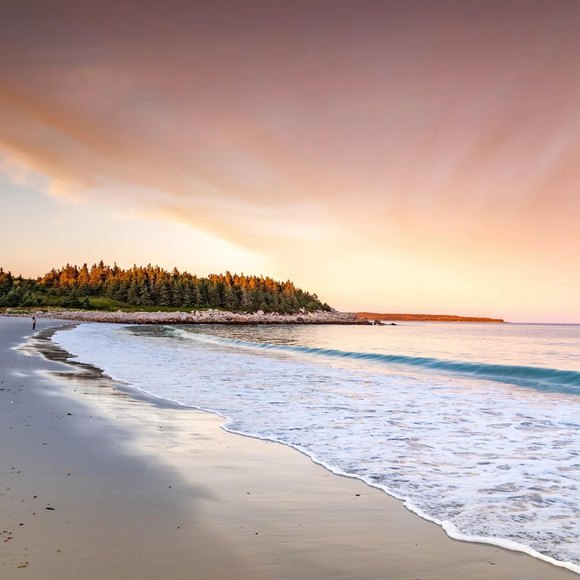 Profile Picture of Kate Davis (@katedavis154) on Poshmark