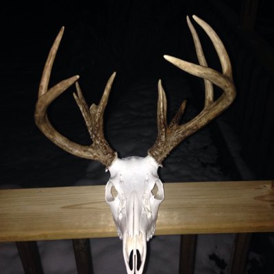 Profile Picture of Dan Daugherty (@DanDaugherty18) on Twitter
