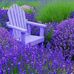 Profile Picture of Lois Hubbard (@lois.hubbard.79) on Facebook