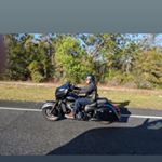 Profile Picture of Mark Rudolph (@leadreindeer) on Instagram