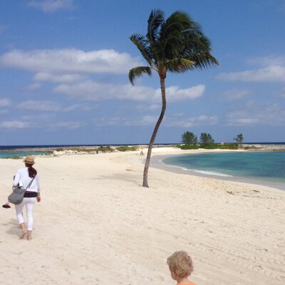 Profile Picture of Josh Houser (@houser_jrh) on Twitter