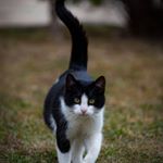 Gabriela Constantinescu - Instagram Profile Picture of Gabriela Constantinescu (@cnstntnsc_gabriela) on Instagram