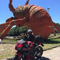 Profile Picture of Robin E Clancy (@robin-e-clancy) on Quora