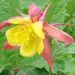 Profile Picture of Brenda Dunham (@brettalyn) on Pinterest