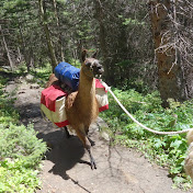 Profile Picture of Jim Barron (@jimbarron2910) on Youtube