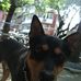 Profile Picture of Duncan Cameron (@duncan.cameron.1276) on Facebook