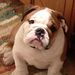 Profile Picture of Beverly Clinkscale (@bevc74058) on Pinterest
