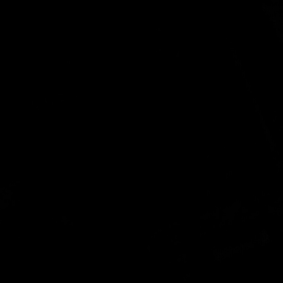 Luis Fargas - Poshmark Profile Picture of Luis Fargas (@0421luis) on Poshmark