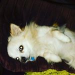 Profile Picture of abbey cooper (@cooper_abbey) on Instagram