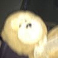 Profile Picture of Patricia Dudziec (@patricia-dudziec-1) on Quora