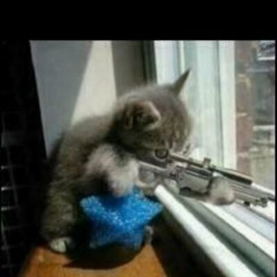 Profile Picture of Tom Bohlman (@Semillas42) on Twitter