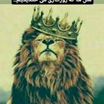 Profile Picture of Mohamad Zamani (@mmd.z_92) on Instagram