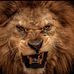 Profile Picture of Adam Bridwell (@adam.bridwell.1) on Facebook
