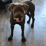 Profile Picture of Cain Charlie Segarra (@caincharliesegarra) on Instagram