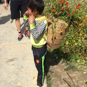 Profile Picture of Foster Smith (@fostersmith875) on Youtube