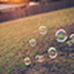 Profile Picture of Paw~prints (@paw~prints) on Flickr