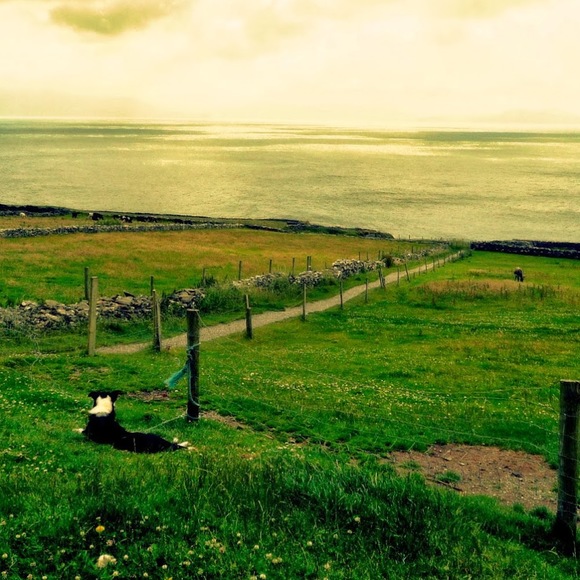 Profile Picture of Hannah Pirner (@pirnerhe) on Poshmark