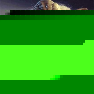 Profile Picture of Mitchell Buck (@101406416) on Myspace