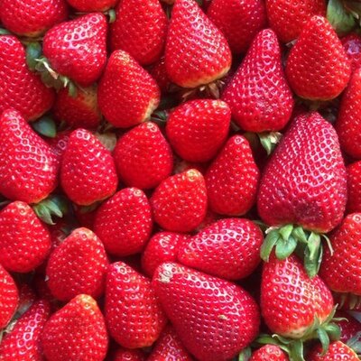 Profile Picture of Esperanza Jimenez (@espejimvill) on Twitter