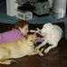 Profile Picture of Candice Pardue Maness (@candice.maness) on Facebook