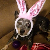 Profile Picture of Linda Sufficool (@lindasufficool5677) on Youtube