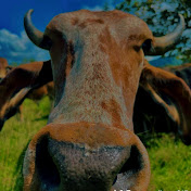 Profile Picture of Oscar Collazos (@oscarcollazos865) on Youtube