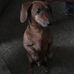 Profile Picture of Bob Sego (@Bob-Sego) on Facebook