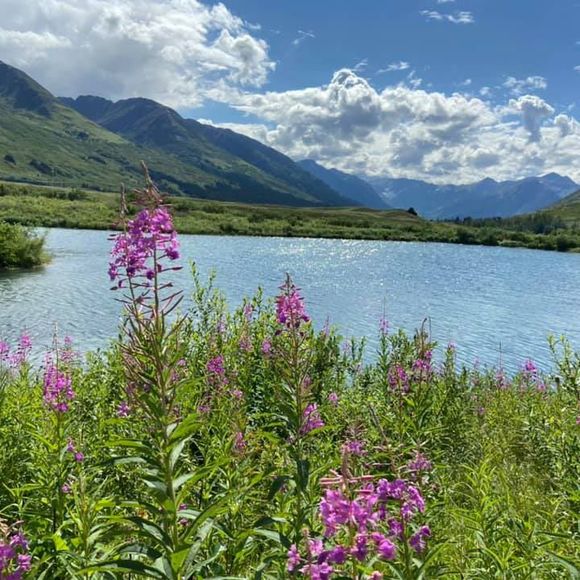 Profile Picture of Lisa Lowe (@lisalowe2014) on Poshmark