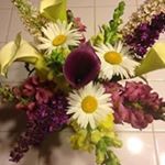 Profile Picture of Joy Wise (@life_is_a_gift_84) on Instagram