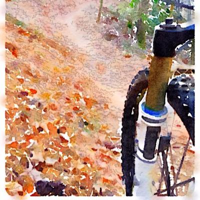 Profile Picture of Holly Botts (@hbsparky) on Twitter