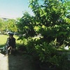 Profile Picture of Kevin Wilbert (@@2164005962) on Tiktok