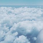 Profile Picture of _david_harcar_ (@_david_harcar_) on Instagram