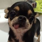 Profile Picture of 徐潇濛 (@xiaomeng_hsu) on Instagram