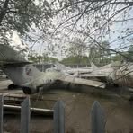 Andrzej Czajkowski - Facebook Profile Picture of Andrzej Czajkowski (@Andrzej-Czajkowski) on Facebook