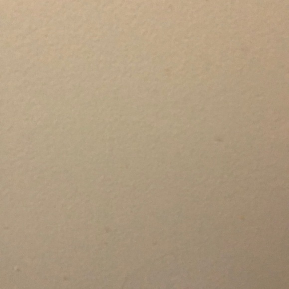 Profile Picture of Sabrina Noesi (@brinna39) on Poshmark