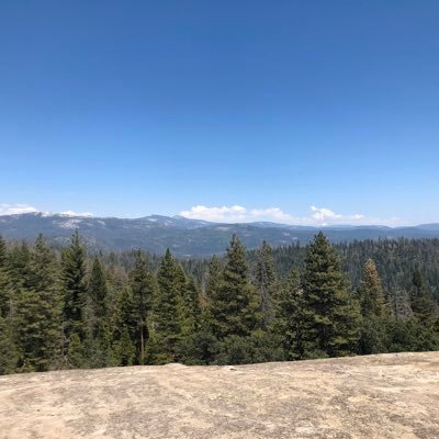 Profile Picture of Casey Carlsen (@CaseyCarlsen) on Twitter