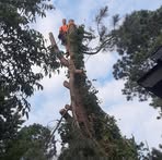 Russell Hare - Facebook Profile Picture of Russell Hare (@russell.hare.5) on Facebook