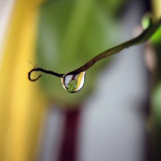 Profile Picture of Pugh Garrison (@Pugh-Garrison) on Facebook