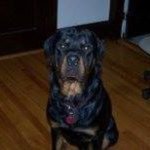 Profile Picture of Kevin Dombroski (@keeevv24) on Instagram