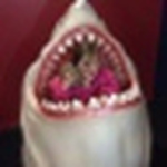 Profile Picture of Austin Cooper (@bigoz81) on Flickr