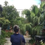 Profile Picture of Mary Susan Sabol (@maryssabol) on Instagram