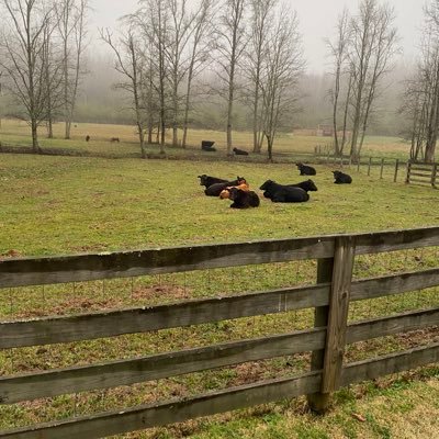 Profile Picture of Philip Swords (@philip_swords) on Twitter