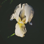 Profile Picture of yesenia 4555 (@yesenia 4555) on Flickr