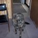 Profile Picture of Larry Lab (@larry.lab.5) on Facebook