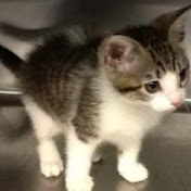 Profile Picture of Jason Boddy (@jasonboddy3838) on Youtube