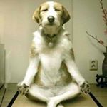 Profile Picture of Maximilian Klein (@maxes_the_1) on Instagram